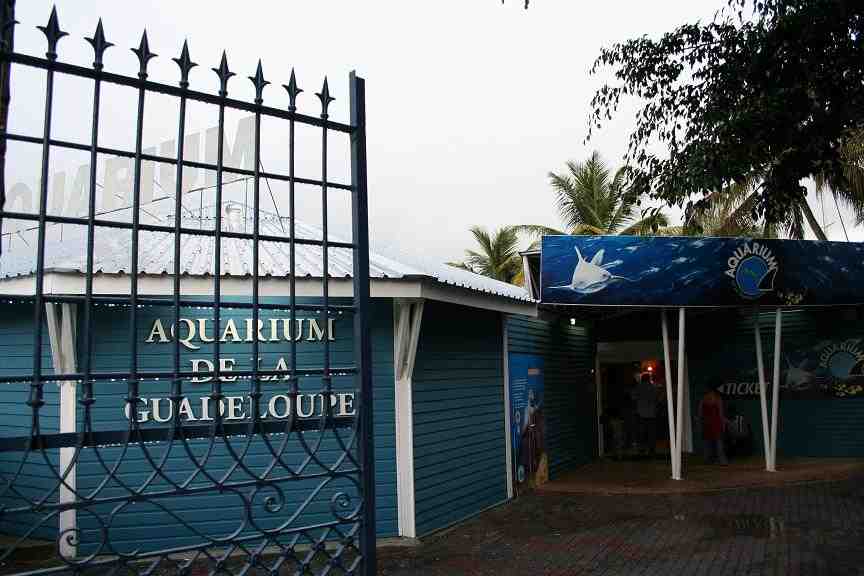 de, guadeloupe